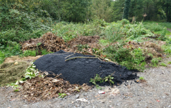  Illegale Ablagerungen von Bauschutt und Grünschnitt am Reiterweg in Schweinheim (Foto: privat)